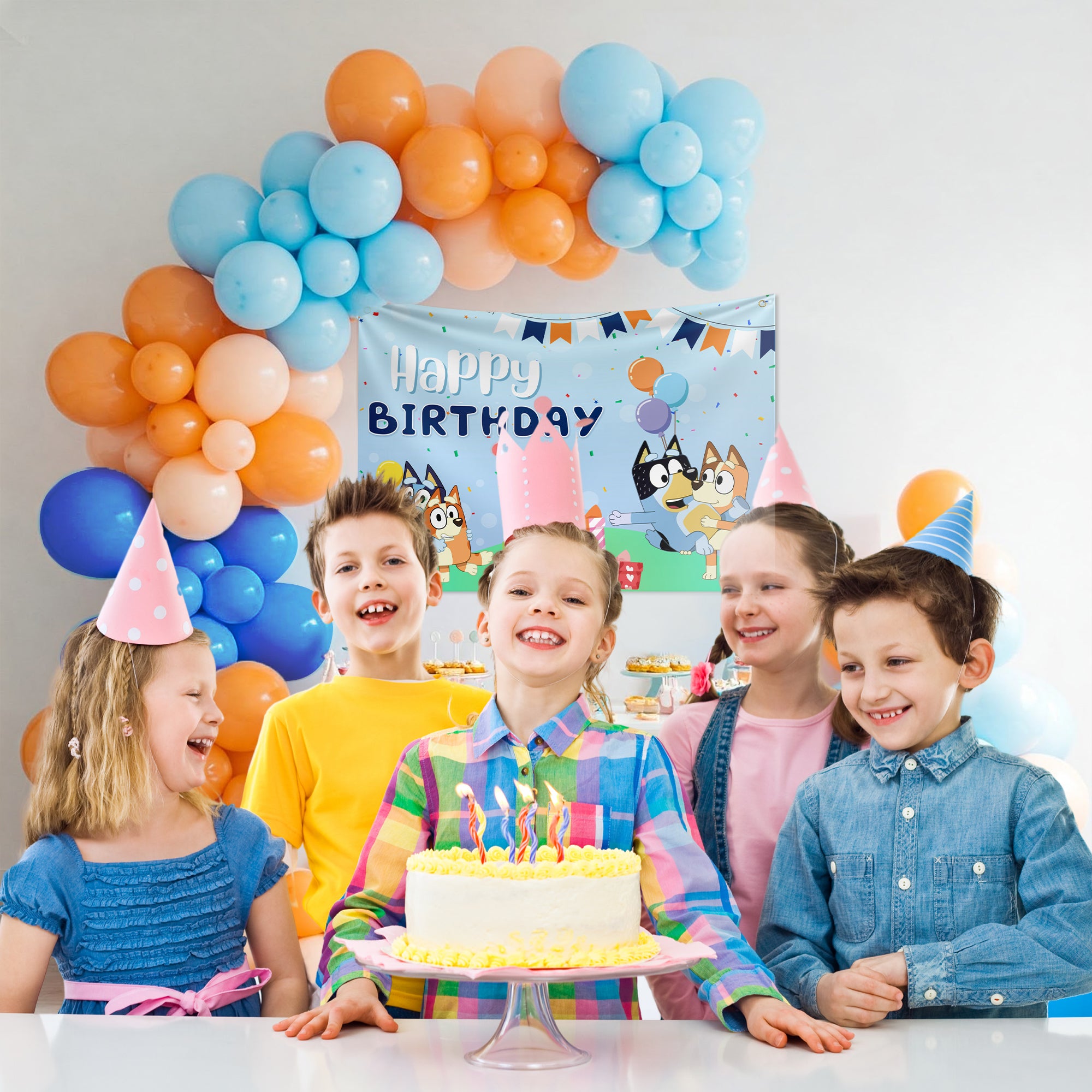 Bluey Theme Birthday decor for kids
