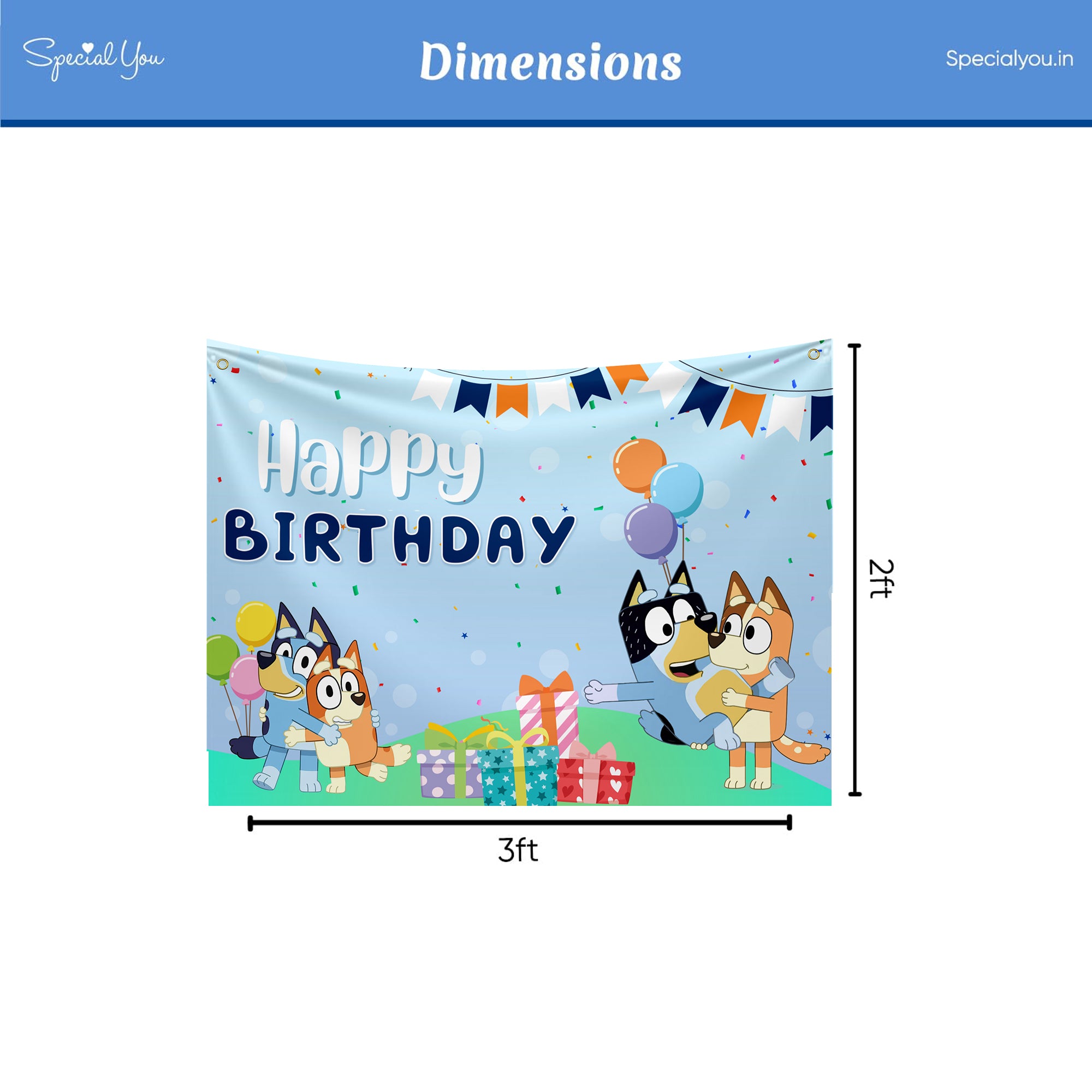 Bluey Theme Birthday decor for kids