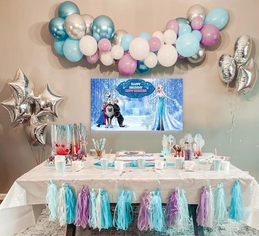 Frozen Theme Birthday Decorations-66pcs