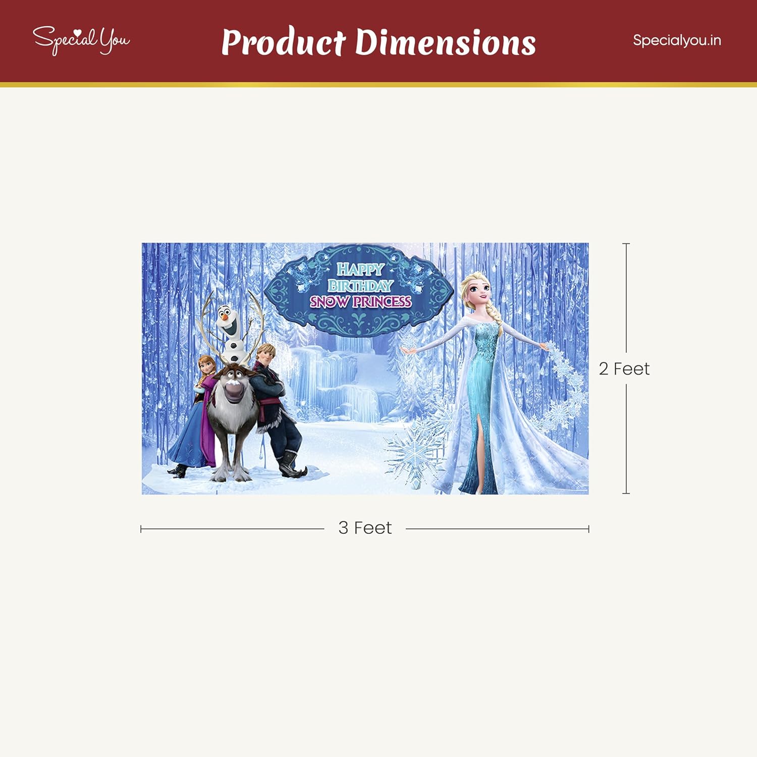 Frozen Theme Birthday Decoration-53pcs