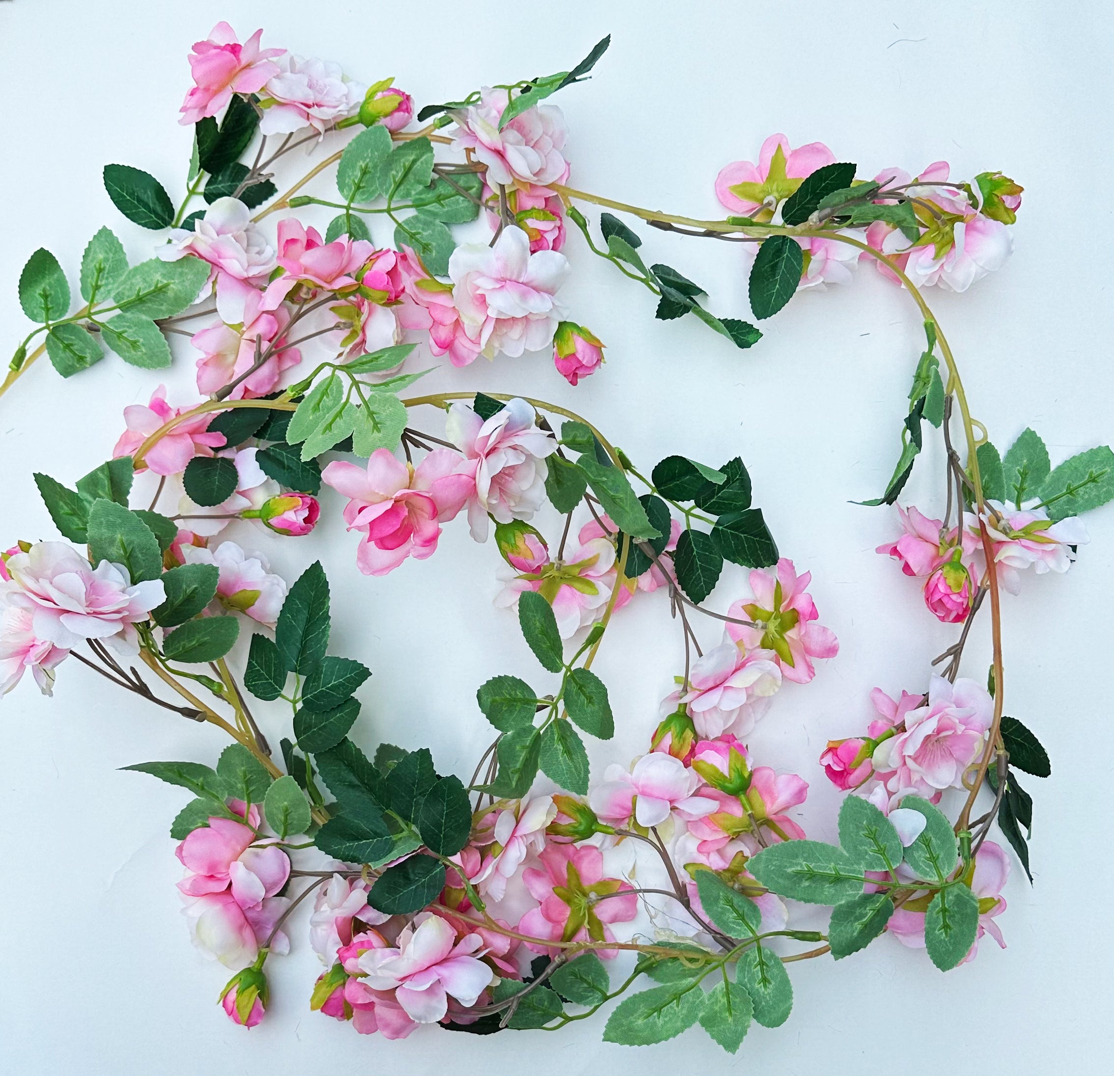 pink rose vine