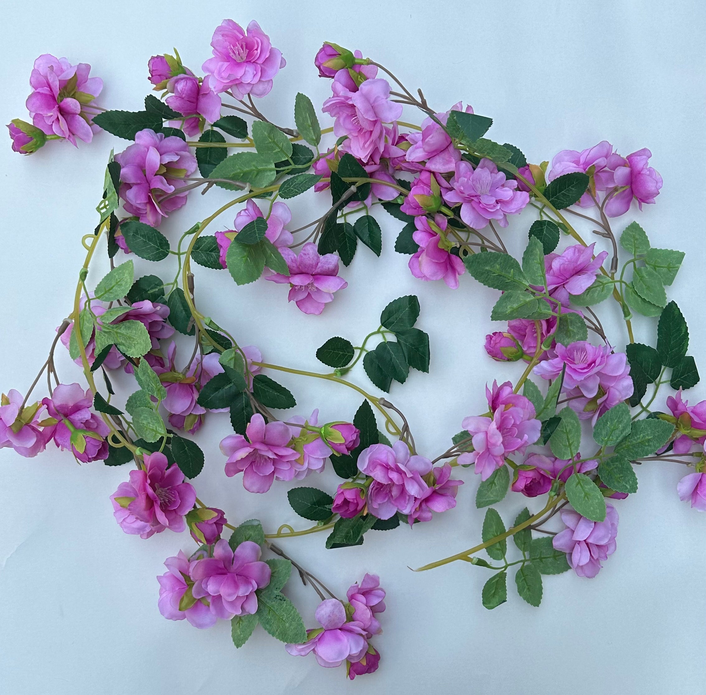 rose vines