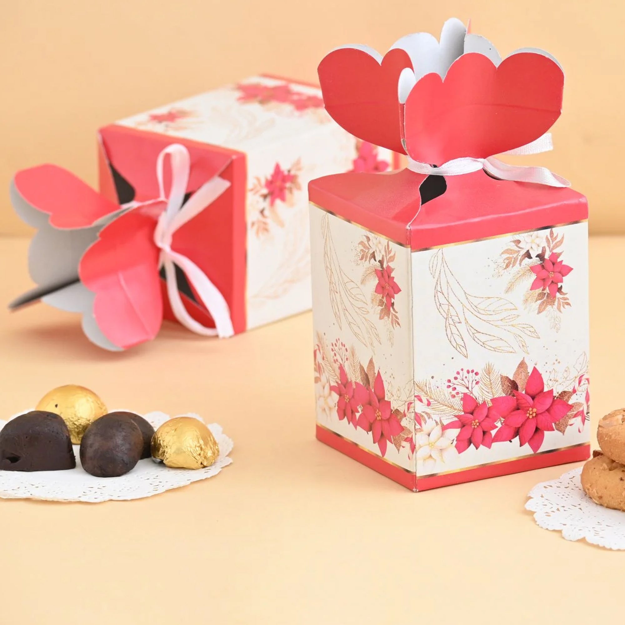 Multipurpose Red Box - Pack of 10