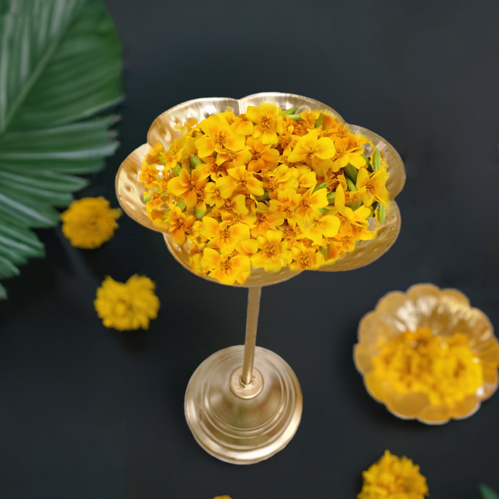 Urli Stand (8 Inch) for Home Decor