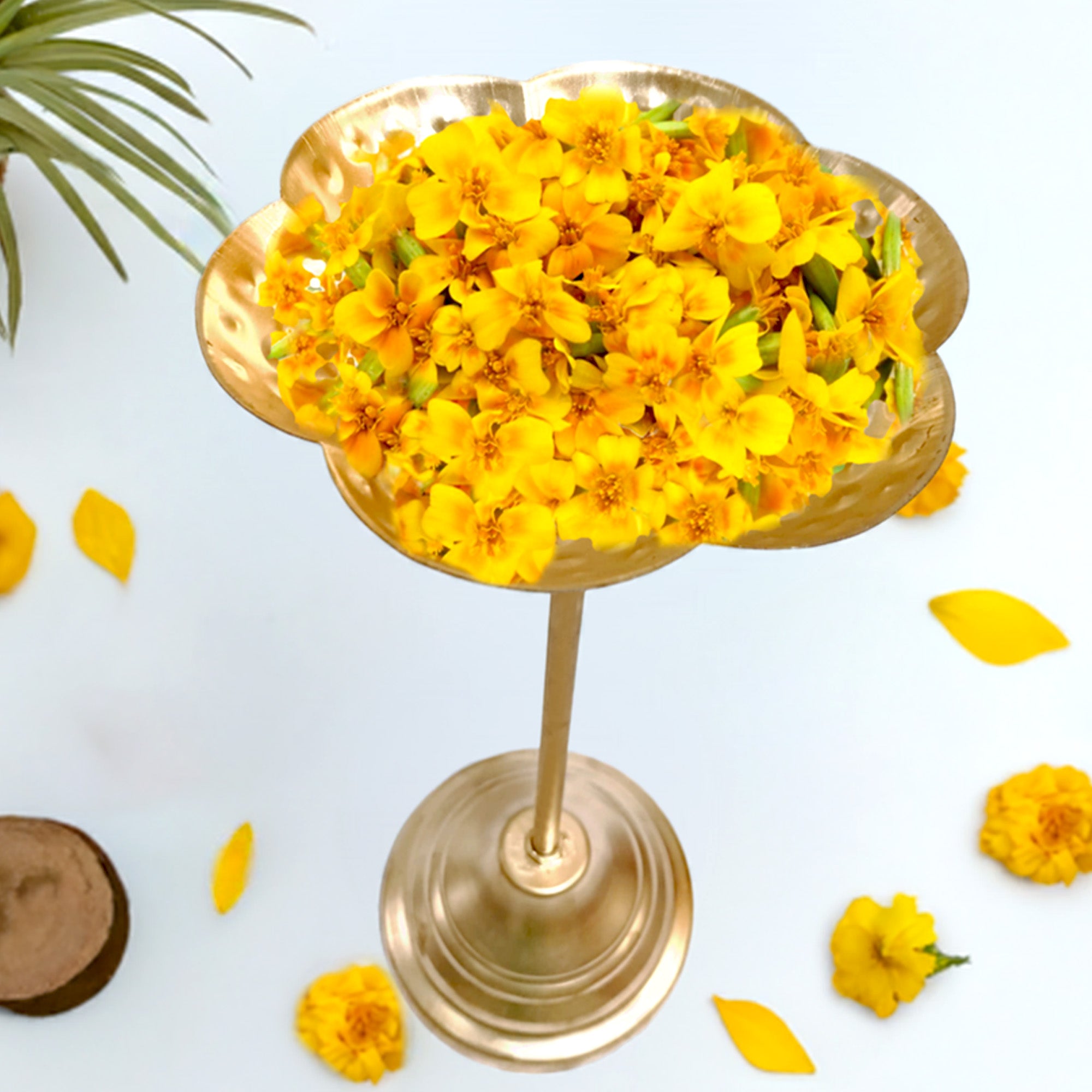 Urli Stand (8 Inch) for Home Decor