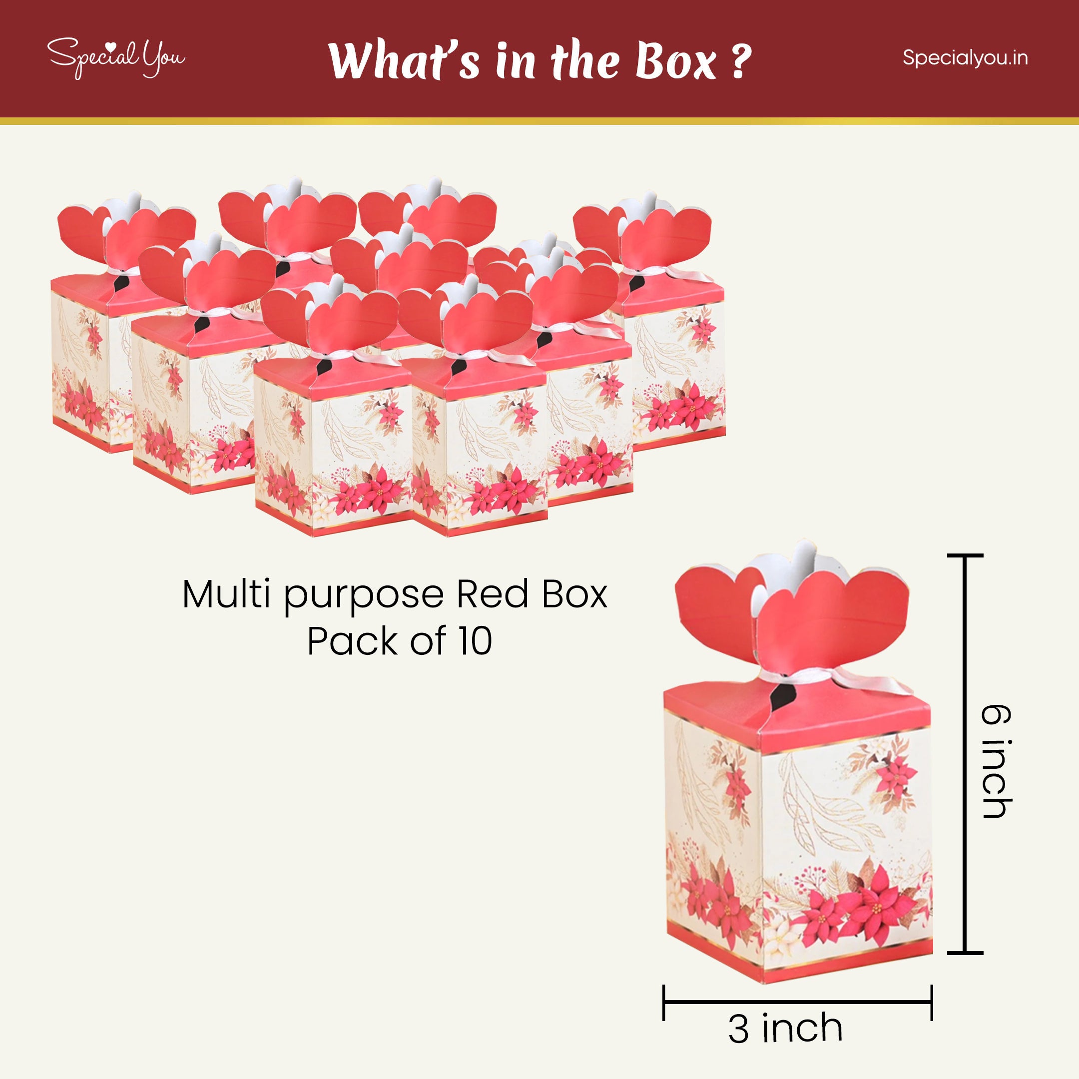 Multipurpose Red Box - Pack of 10