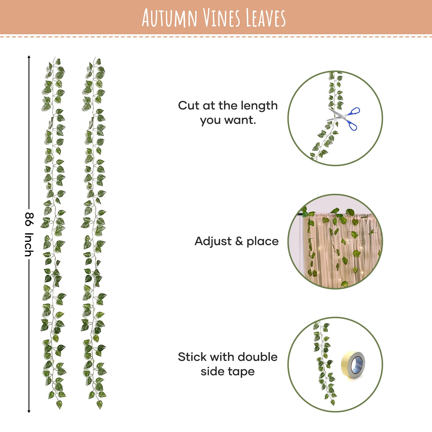 plant vines
