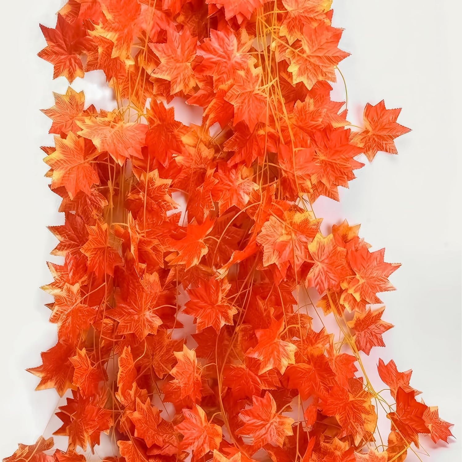 orange maple vines