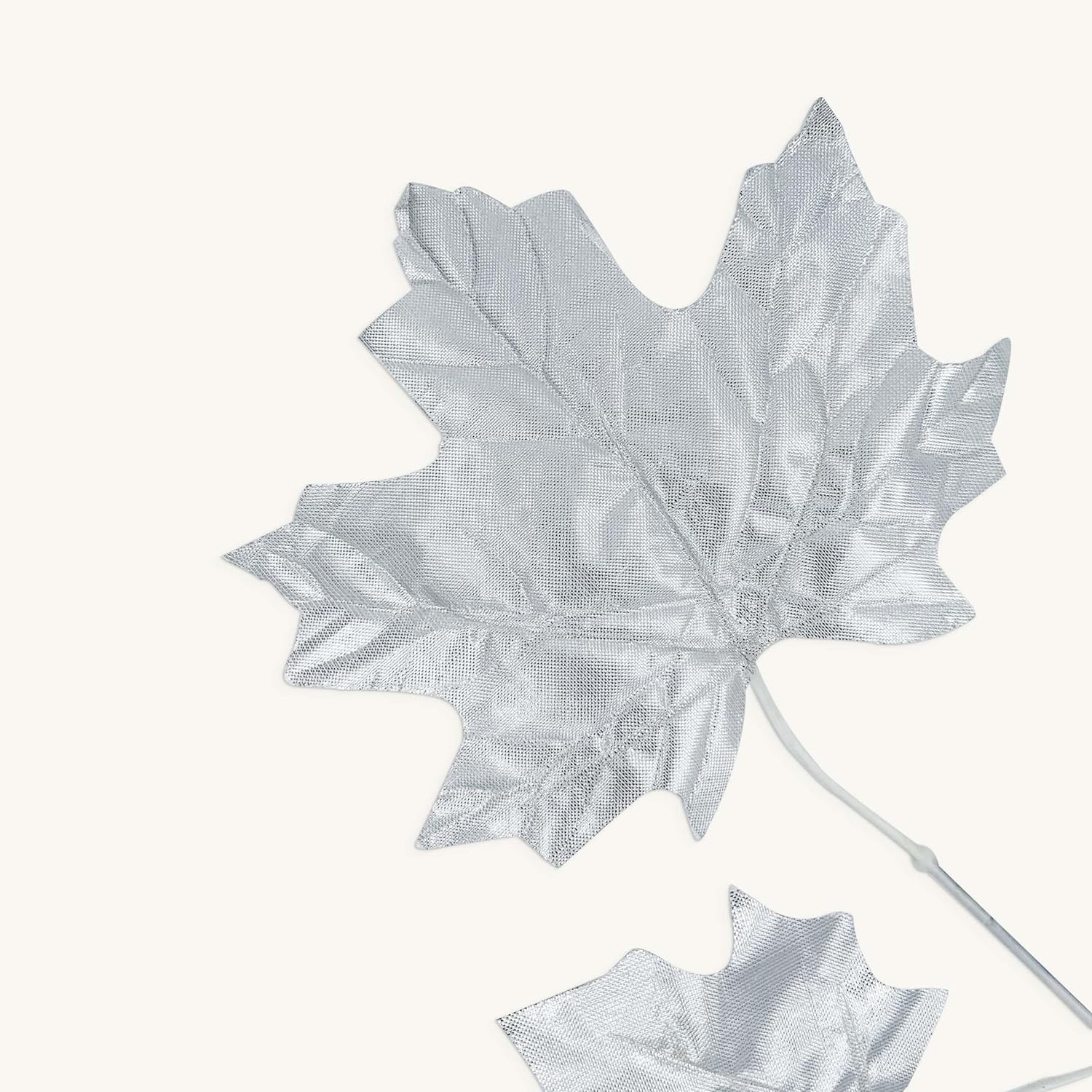 silver maple leaves