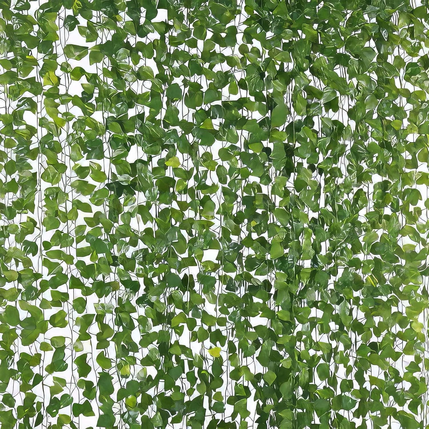 leaves vines